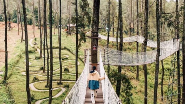 Review Glamping di Orchid Forest Cikole, Mulai Dari Fasilitas Kamar Mandi Dalam Hingga Suasana Malam