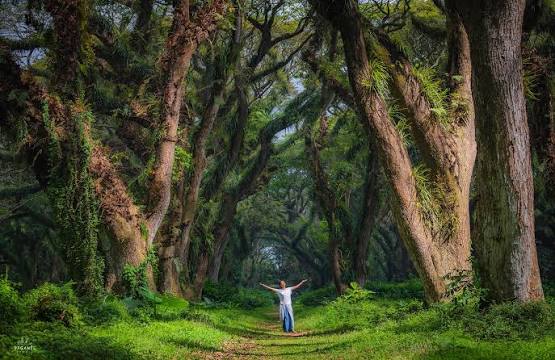 Rekomendasi Destinasi Wisata Unik yang Cocok Dikunjungi Bersama Keluarga atau Sahabat